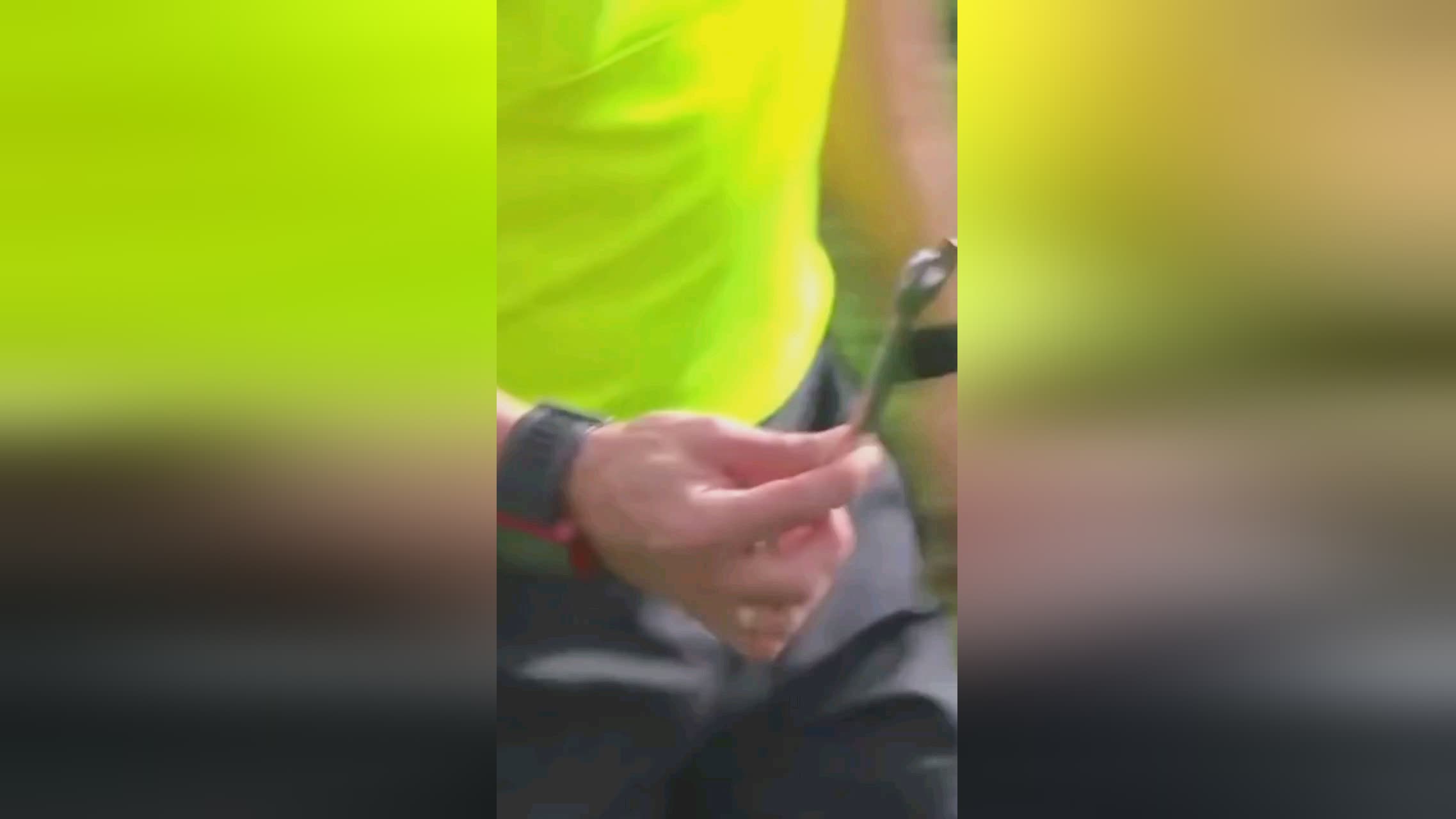 绩夺得金